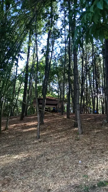 Aniana Vargas National Park