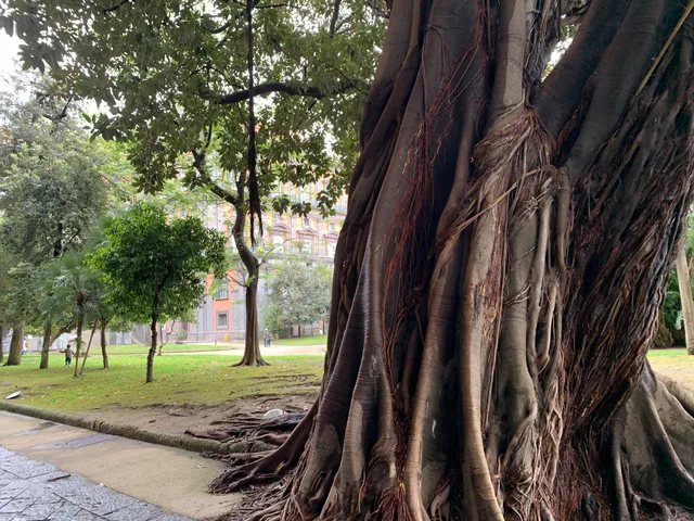 Giardini di Palazzo Reale