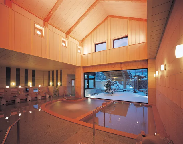 Minamitsugaru County