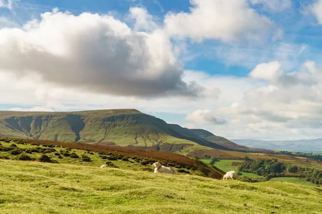 Black Mountains, Wales