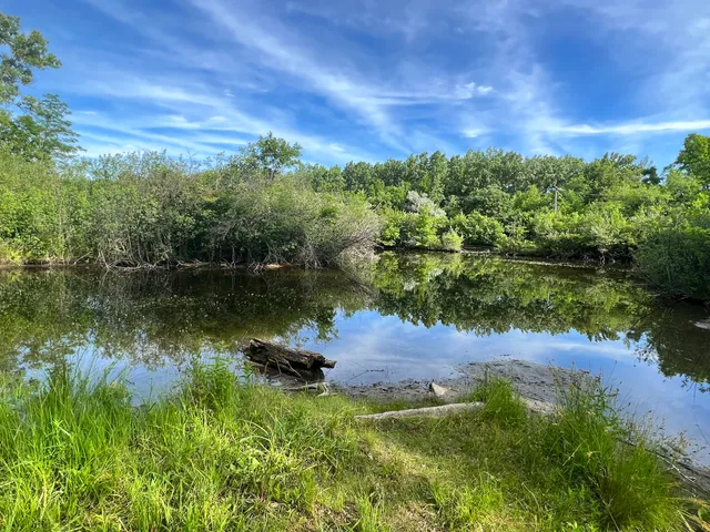 Homewood Izaak Walton Preserve