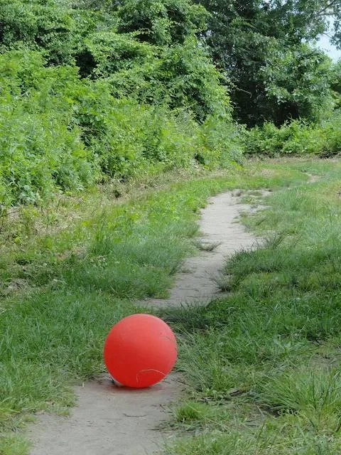 Haddam Meadows State Park