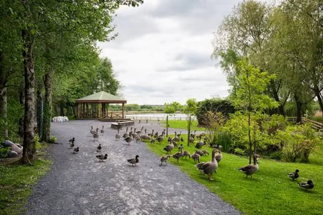 McMahon Park (Clare Lake)