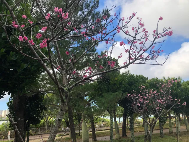 Manko Park (Kohagura Side)