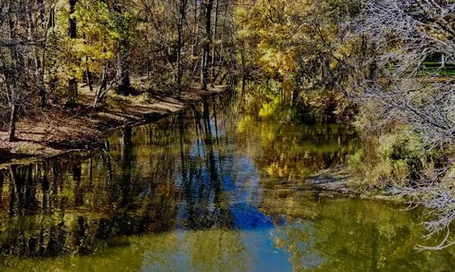 T.J. Dolan Natural Area