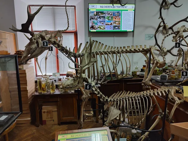 Paleontolohichnyy Muzey Lnu Im. I.franka