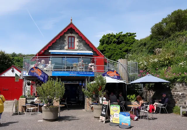 The Ilfracombe Aquarium