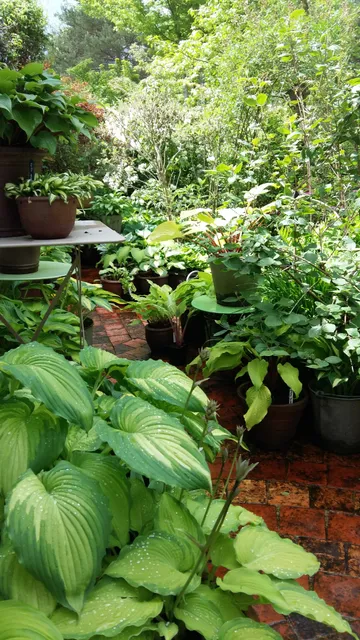 Le Jardin de Chantal