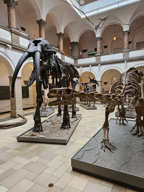 Palaeontological Museum, Munich