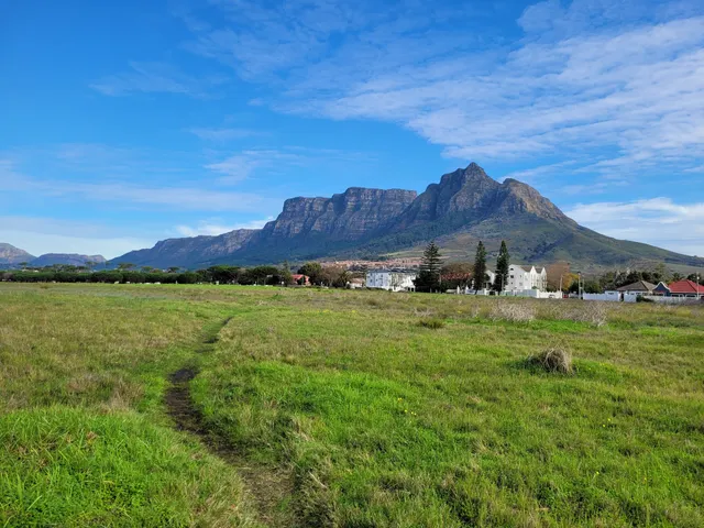 Rondebosch