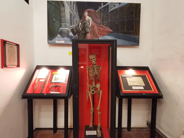 Vienna Crime Museum