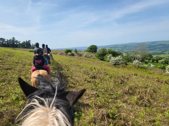 Tregoyd Mountain Riders
