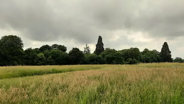 Old Catton Recreation Ground