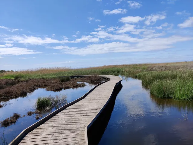 Marjal dels Moros Puçol