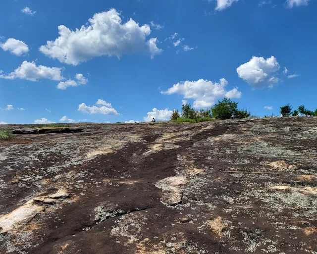 Davidson-Arabia Mountain Nature Preserve