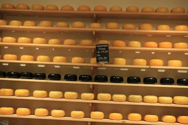 Historical Museum Vaults