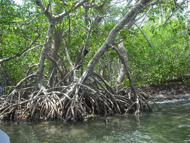 Laguna de Tampamachoco