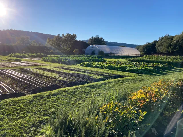The French Laundry Culinary Garden