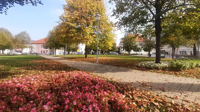 Živa-riječ, pripovijedanje i turističko vođenje