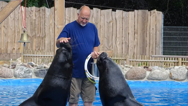 Sealion Adventure Park Süsel