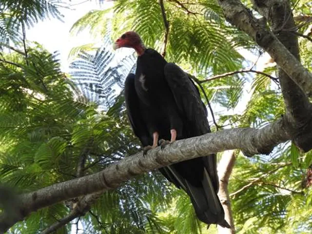 Morro do Diabo State Park