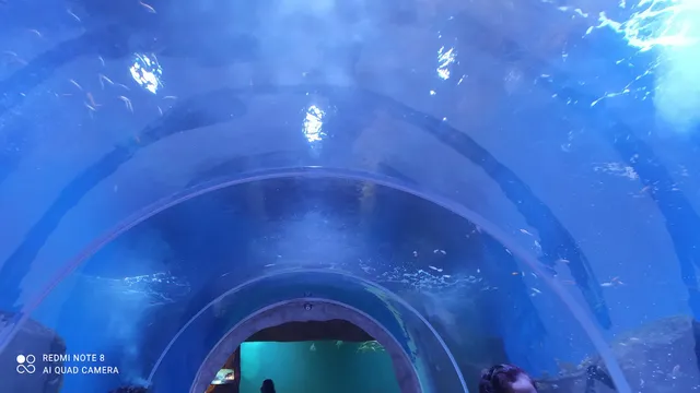 Acuario Zoologico Guadalajara