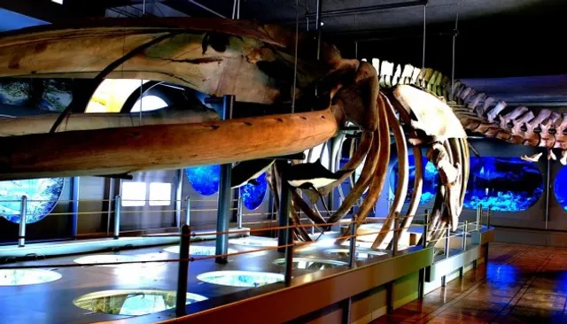 Viddil Pryrody Krayeznavchoho Muzeyu