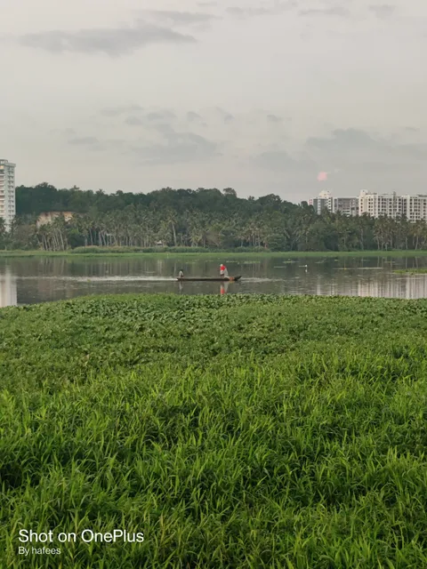 Aakulam Bridge Walk Park