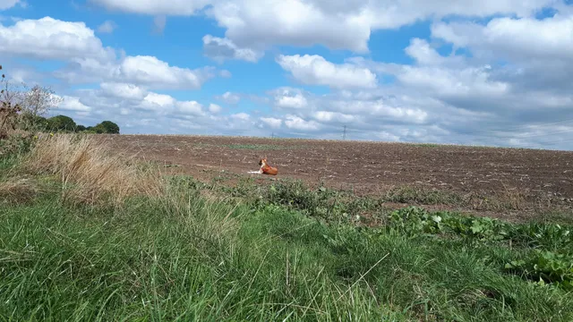 Grangewaters Outdoor Education Centre