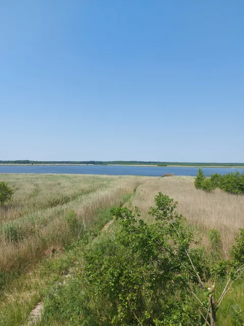 Nature reserve Świdwie