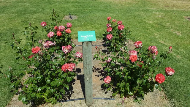 place image