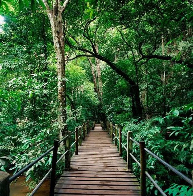 Hudson River Skywalk