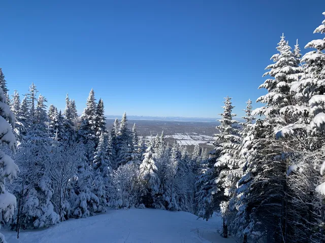 Saint-Paul-de-Montminy