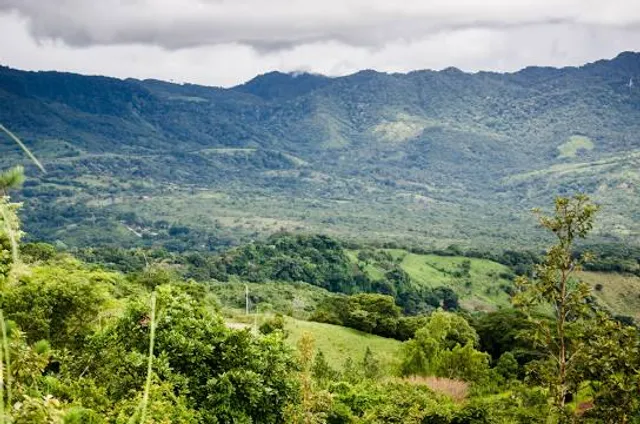place image