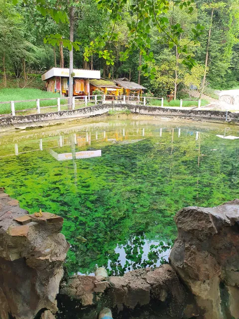 Nong Ya Plong Hot Spring