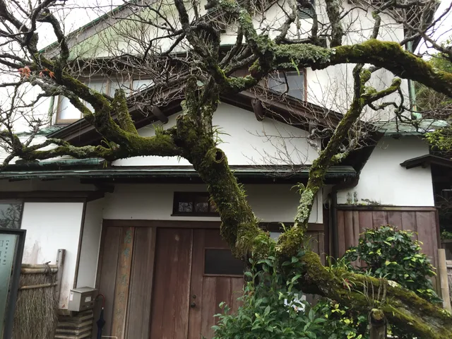 Old Hinata Townhouse by Bruno Taut