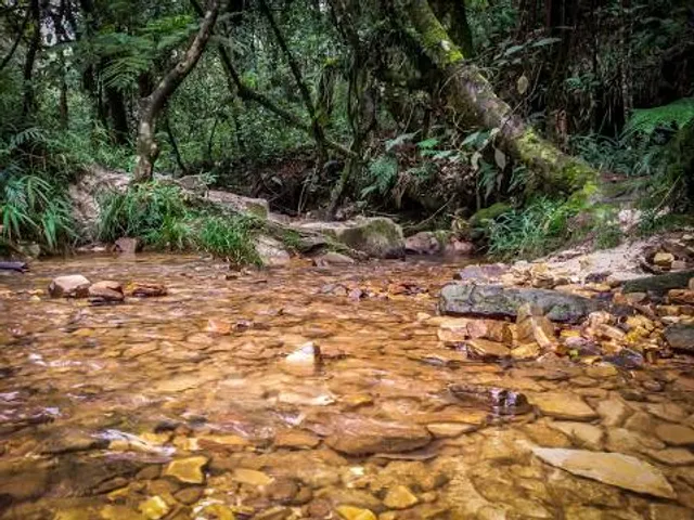 Cachoeira das Borboletas