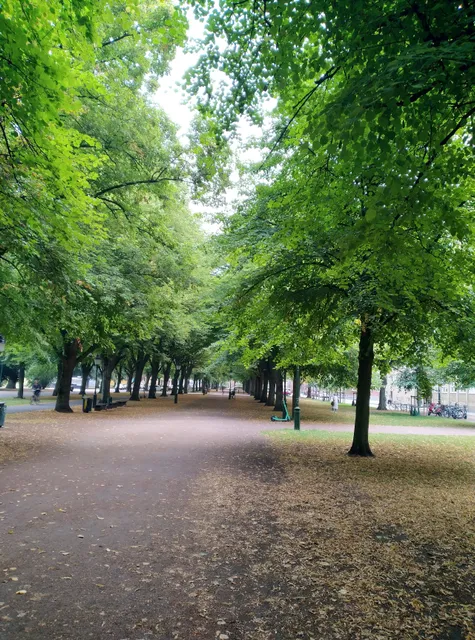 Rörsjöparken