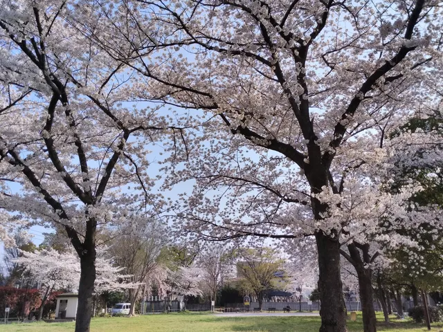 Oshibe Minami Park