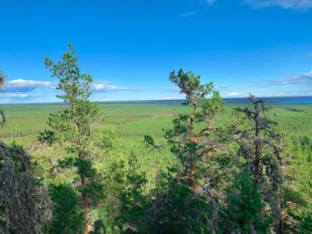 Storrisbergsgrottorna