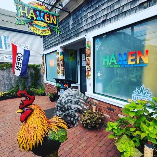 The Haven Center