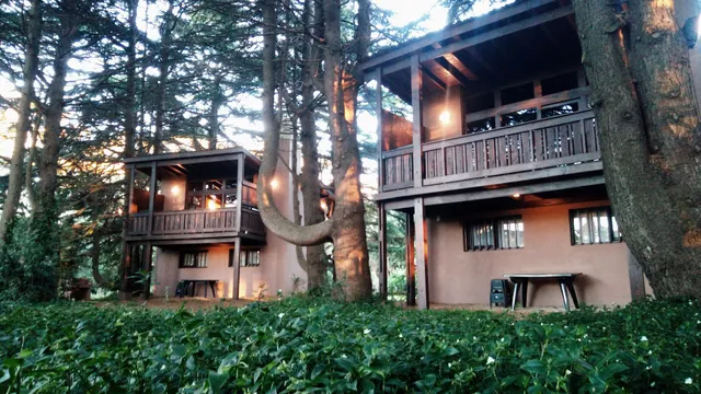 Posta Chimango Cabañas