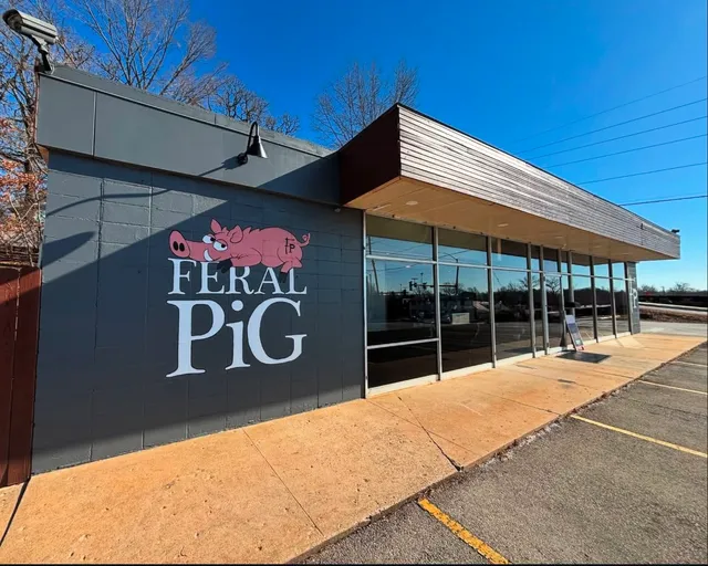 The Feral Pig