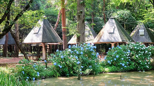 Toyosato Yukarino Mori Campground