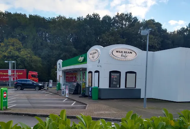 Wild Bean Cafe