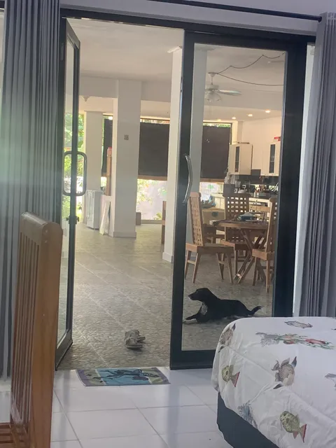 Omah Erma Lenkosamby Barat Riung