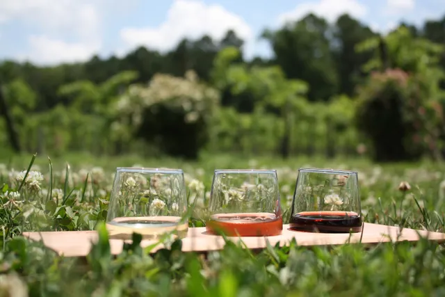 Monte Alegre Vineyard/Cellars