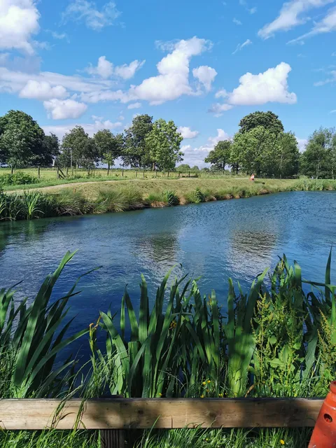 Unleashed at Wrenbury Hall Woods