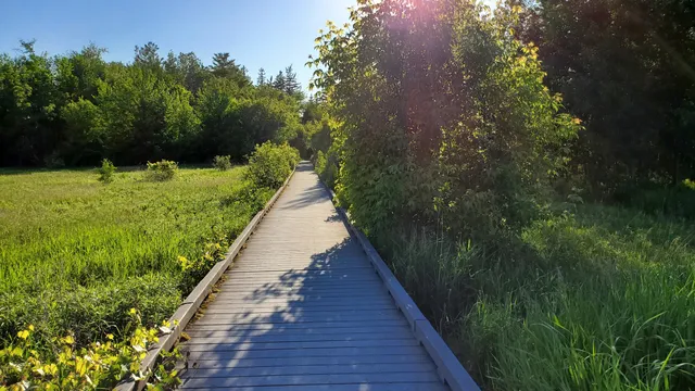 Oak Ridges Corridor Conservation Reserve