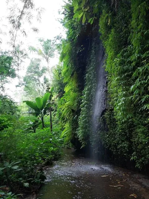 Central parkir waterfall tukad cepung
